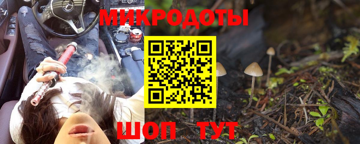 Галлюциногенные грибы Psilocybe Рузаевка